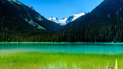 Fototapeta na wymiar Lower Joffre Lake in Beautiful British Columbia