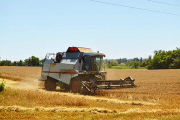 Combine harvester in action on wheat field. Process of gathering a ripe crop.