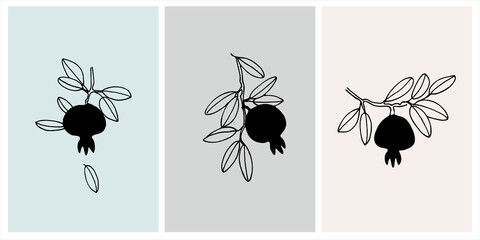 Decor printable art. Set of hand drawn vector illustrations of pomegranate fruits on branches