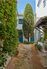 Puertas coloridas con árbol patios de ensueño