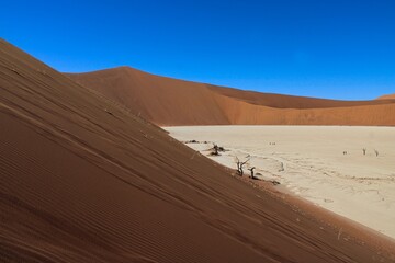 Fototapeta na wymiar Dunes around UNESCO world nature heritage Sossusvlei in Namib Desert in Namibia