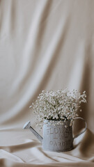 watering can for flowers with gypsophila on beige background, vintage