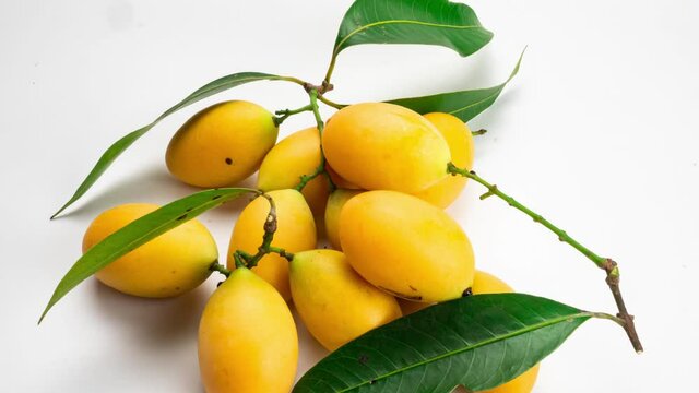 Ripe marian plum with leaf on white background in stop motion. One of the most popular sweet fruit in Thailand in summer season is fresh ripe marian plum or gandaria.