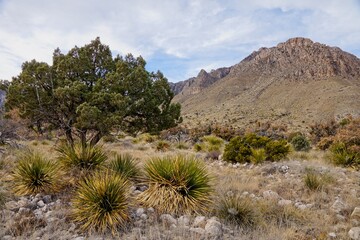 Guadalupe Mountains National Park in Texas USA
