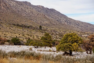 Guadalupe Mountains National Park in Texas USA