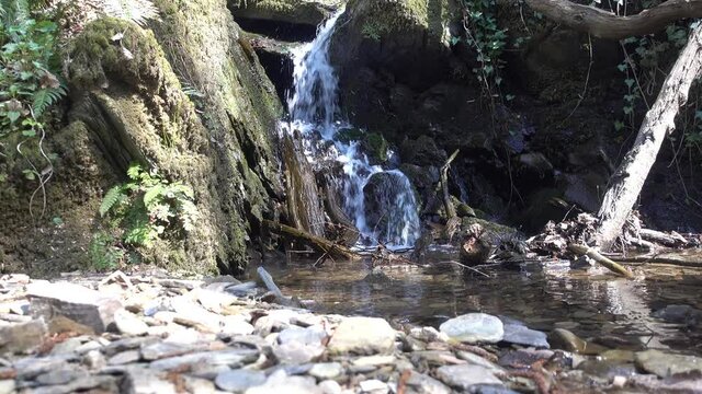 Munterer Kleinbach im Hintertaunus