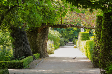Botanic garden, Madrid