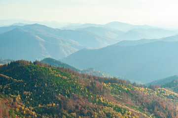 Mountain wilderness landscape, panorama hills mountain range covered with forest, warm autumn day October, blue haze on horizon.