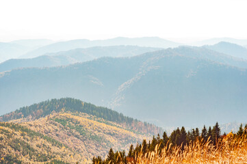 Mountain wilderness landscape, panorama hills mountain range covered with forest, warm autumn day October, blue haze on horizon.