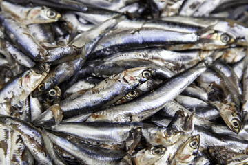 Spoiled and expired anchovies