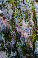 Close-up of bright green moss and natural rough granite stone, with pale green lichen. Nature, in nature. Colorful vegetable.