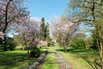 Giardini di Ninfa
