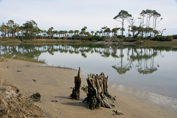 Hunting Island State Park in South Carolina USA