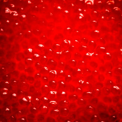 creative idea for the background. red caviar close up