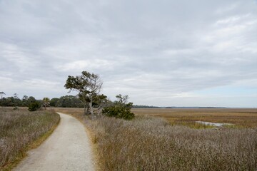 Obraz premium Botany Bay Plantation Heritage Preserve and Wildlife Management Area on Edisto Island in South Carolina USA