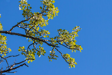 Gilbert vilers park, in Aix-en-Provence