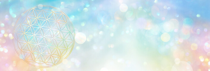 Banner Blume des Lebens, die in einem hell leuchtenden Lichterfeld kosmischer Fülle erstrahlt und in ihrer vielfältigen Ganzheit alles enthält 