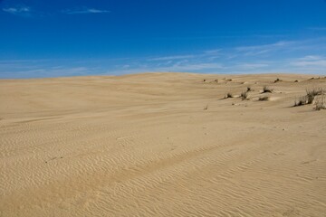 Jockey's Ridge State Park on Outer Banks in North Carolina USA