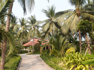 Obraz premium Bungalow in the tropical garden