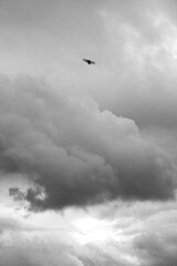 clouds in the sky