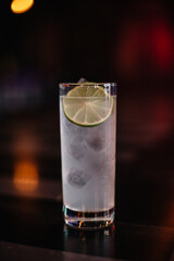 Gin and tonic cocktail decorated with slice of lime.