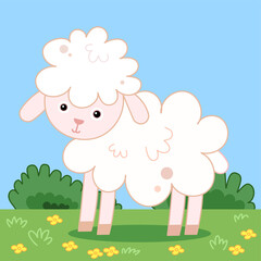 Cute lamb on a green meadow with yellow flowers in bloom in cartoon style. Nursery activity book illustration.
