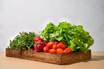 Colorful salad with green fresh vegetable and tomatoes decoration