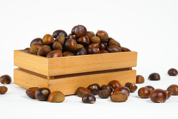 Chestnuts in a box. Chestnuts isolated  on white background. . Chestnuts in a wooden box. Studio photo.  Free space for text. 
