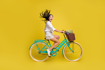 Full size profile side photo of young happy excited smiling girl riding bicycle with wildflowers...
