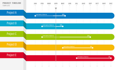 Project Timeline Infographics, 12 months timeframe and milestones