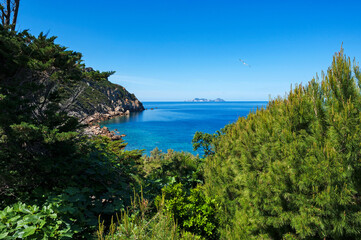 Fototapeta na wymiar National Park of Circeo, Italy, Europe, a stretch of coast of the island seen from the lighthouse between Capo Negro and Capo Caccia, in the background the island of Palmarola
