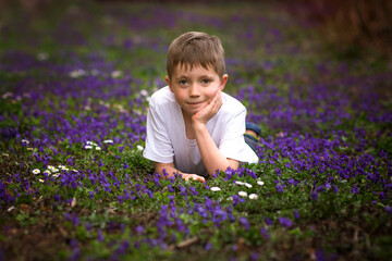 Small boy lying on lawn with violet flowers in park. Kid portrait and spring blossom.