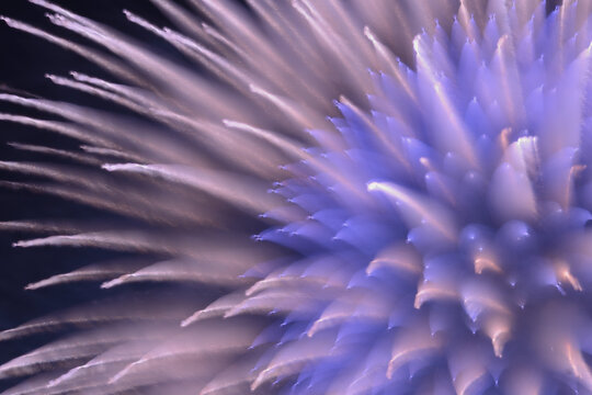 511 Best 仕掛け花火 Images Stock Photos Vectors Adobe Stock