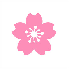 Cherry blossom vector Pink cherry blossoms blooming Isolated on white background