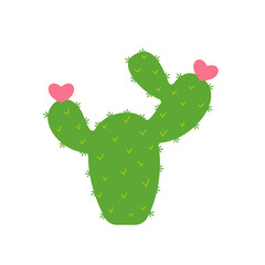 Cactus shaped plants that flower in the shape of a heart. The concept of lovers growing cactus.