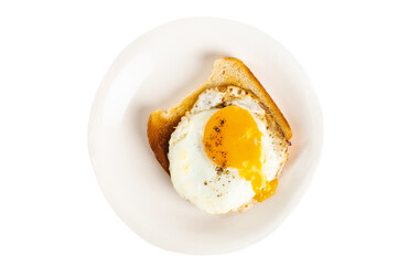 Organic Fried Egg Sandwich