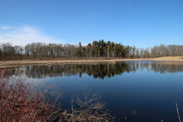 Marsh Scenery on a beautiful spring day in bright sun