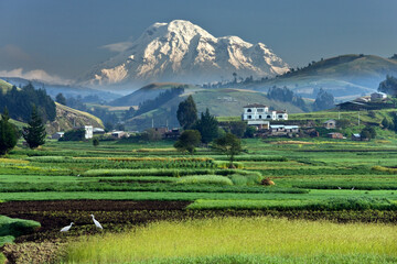 Fototapeta na wymiar Mount Chimborazo in Ecuador - South America