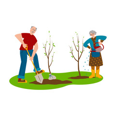 Elderly couple working in the garden. Seniors plant young trees. A man is digging the ground, a woman is watering plants. Elderly people care, active lifestyle