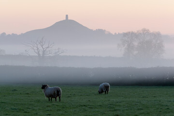 Glastonbury Tor in dawn mist, Glastonbury, Somerset, England, United Kingdom, Europe © Bob Ransom