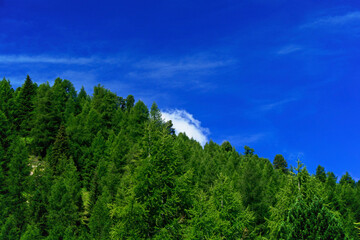 Fototapeta na wymiar landscape with blue sky