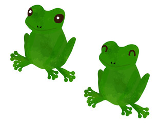 Reptile Green Smiling Frog Set