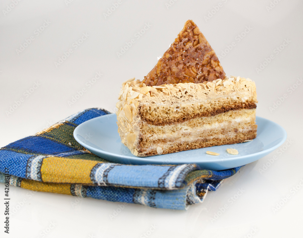 Poster image of a cake piece lie on ceramic plate over a white background