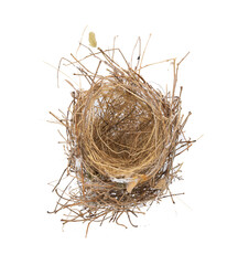 Bird's nest isolated on white background