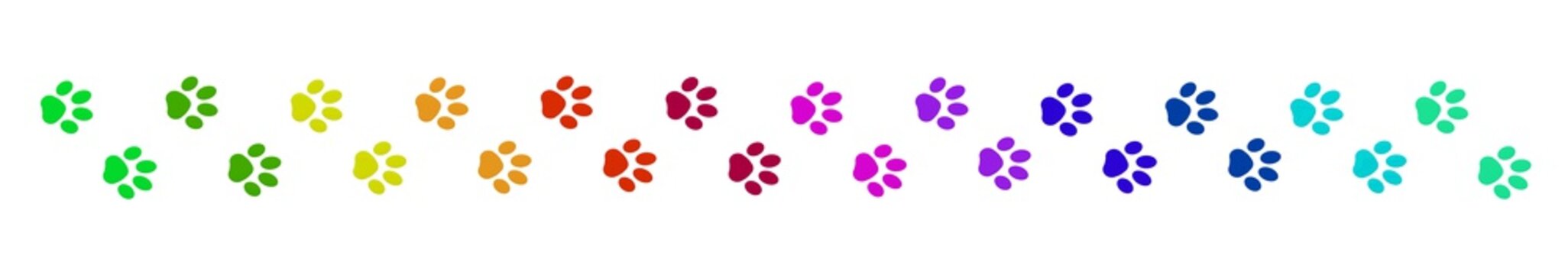 bunte Katzenpfotenspur 