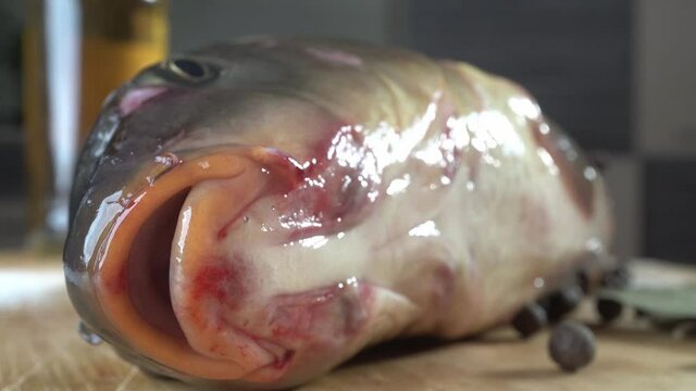 Macro Live fish carp breathes on the table, preparing food at home