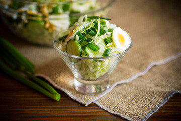 spring salad with early cabbage, cucumbers, eggs and green onions