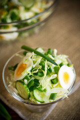 spring salad with early cabbage, cucumbers, eggs and green onions