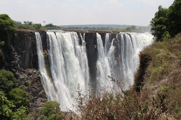 Fototapeta premium the victoria falls