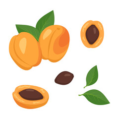 Apricot fruit icons set. Bright ripe fruits, halves, slices with leaves and seeds. Food for a healthy diet, dessert, snack. Elements for summer design. Vector flat illustration